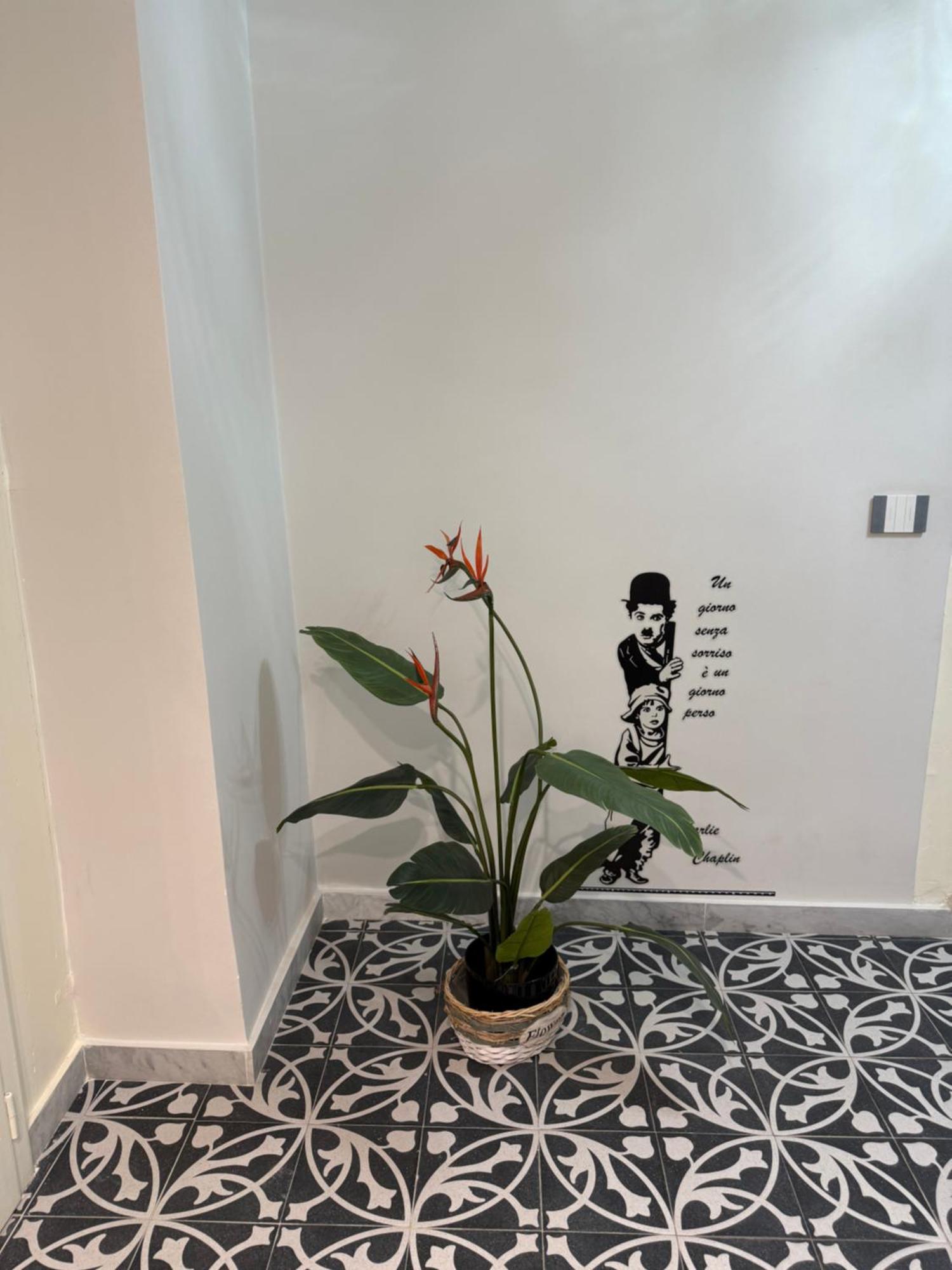 パレルモ Elisir Houseヴィラ エクステリア 写真